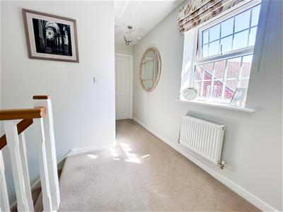 Picture 20